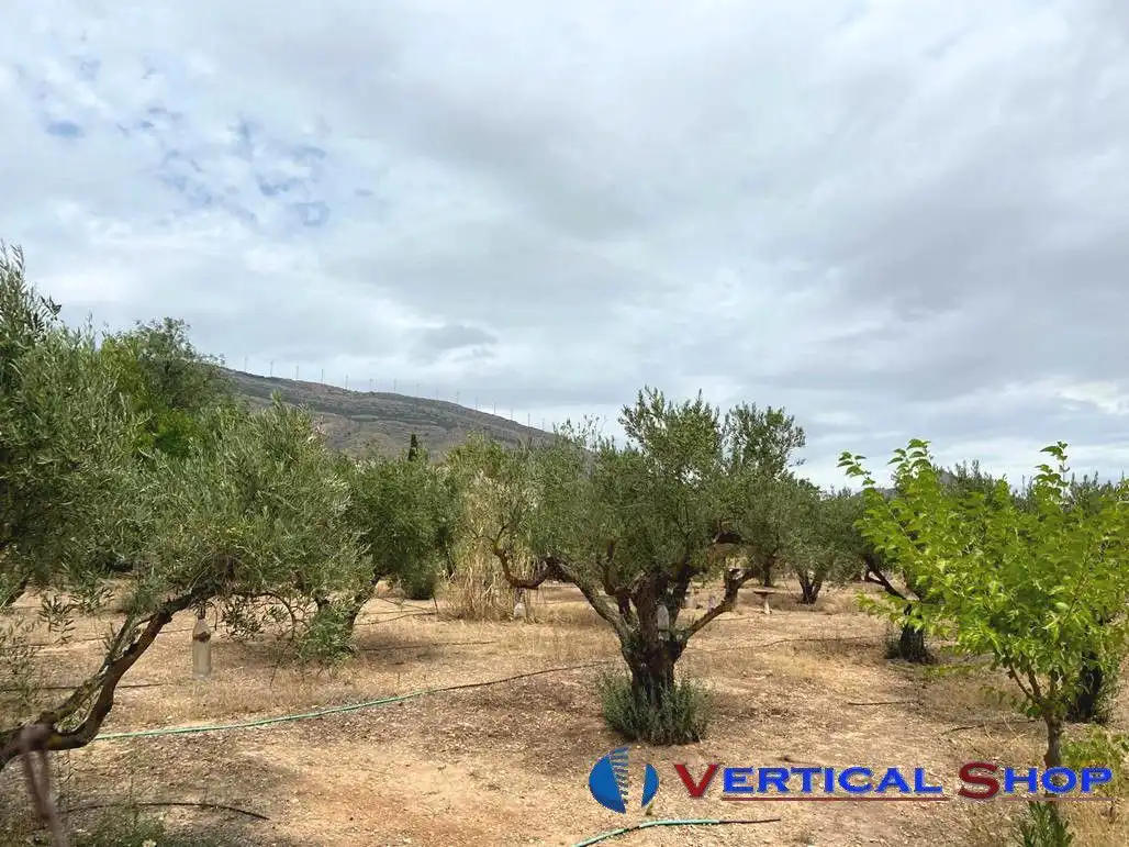 Wohnbaugrundstück zum Verkauf in Vereda Santa Ana, imagen 12