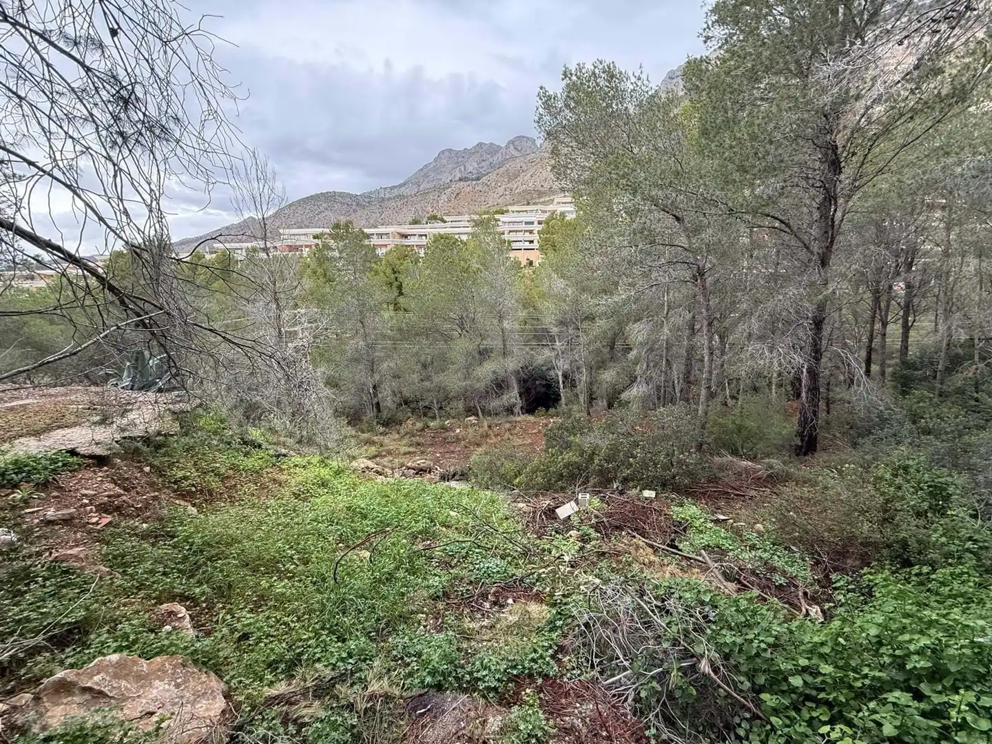 Terreny residencial en venda a Erica, imagen 3