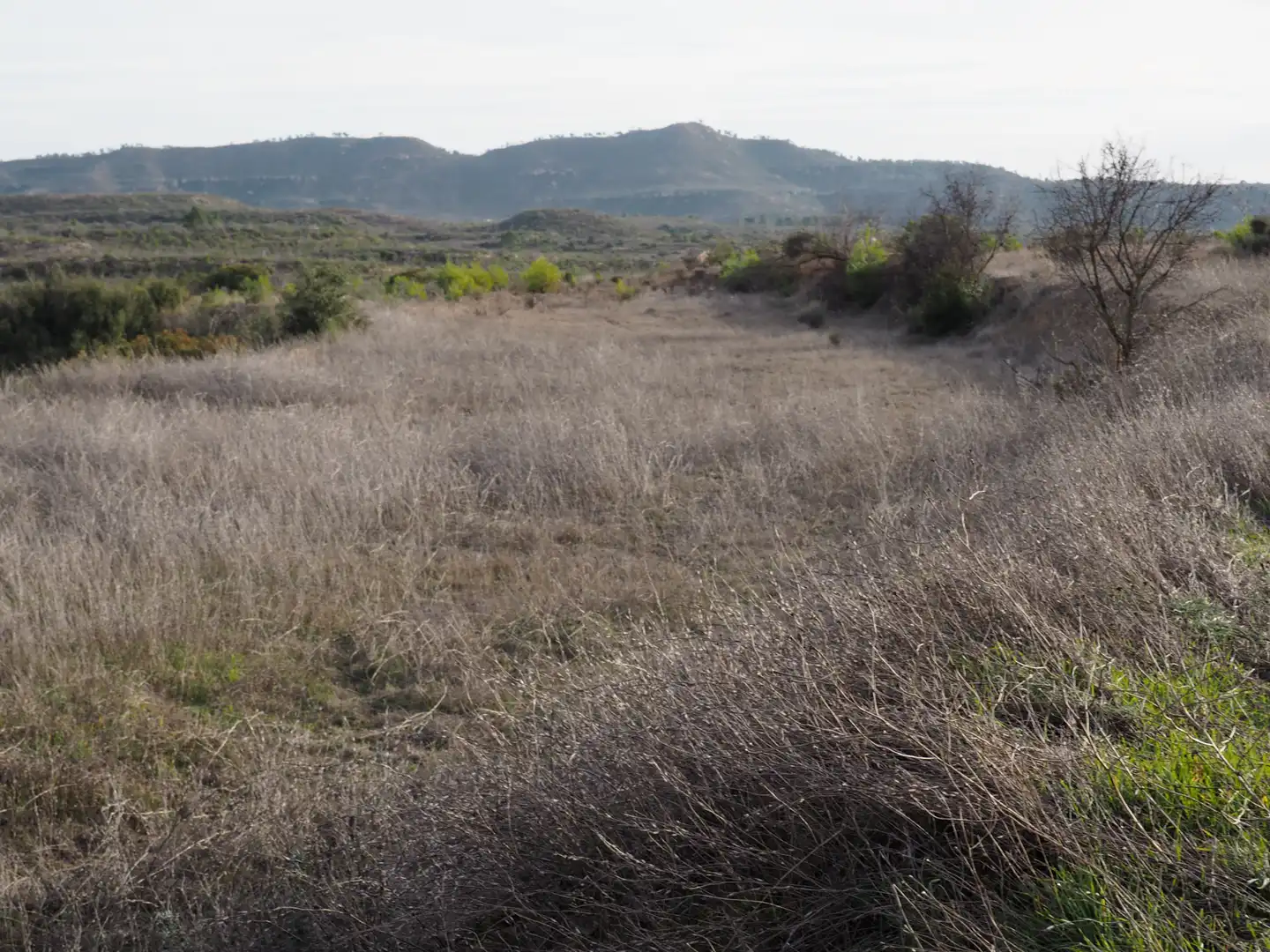 Terreno en venta en Flix