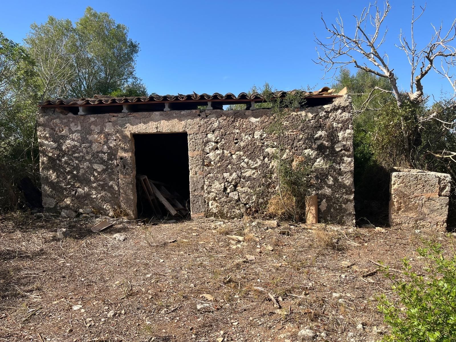 Exterior view of Country house for sale in Ariany  with Private garden