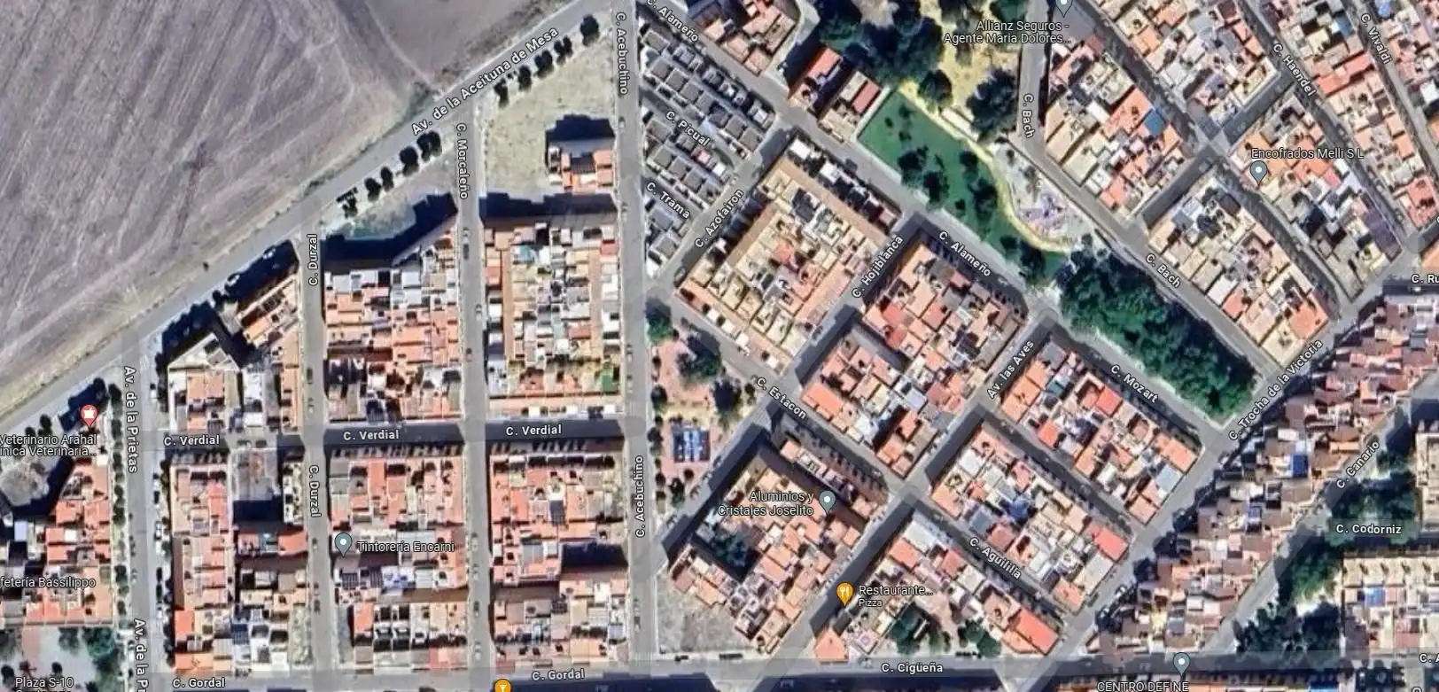 Vista exterior de Casa o chalet en venta en Arahal con Jardín privado y Terraza