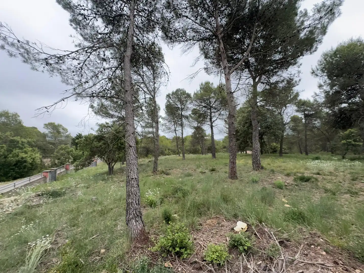 Terreno residenziale in vendita a Avinguda del Bosc, imagen 14