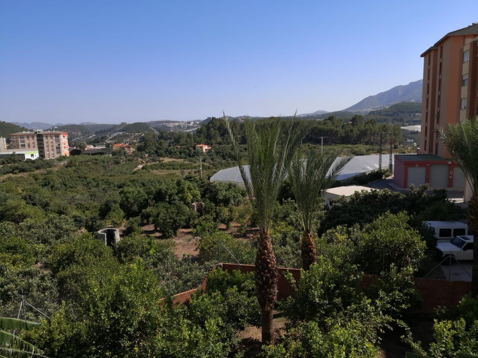 Jardí de Casa o xalet en venda en Callosa d'en Sarrià amb Terrassa