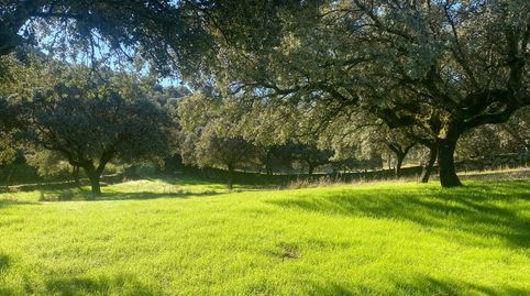 Photo 2 of Country homes for sale in El Real de San Vicente, Toledo