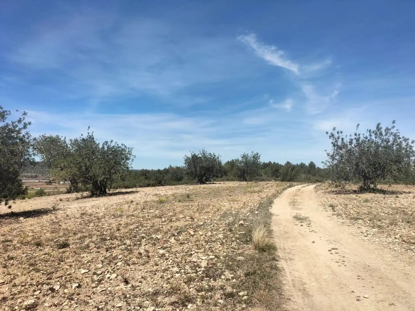 Terreno rustico in vendita a Polígono 10 Parcela 488 LA LOMA. NAVARRES (VALENC, imagen 6