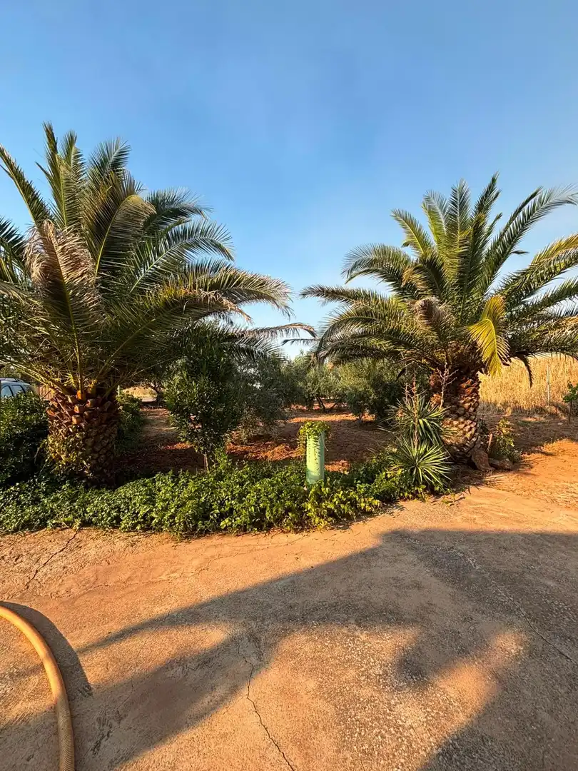 Casa o xalet en venda en Valdepeñas
