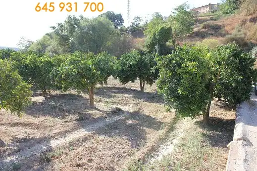 Terreni e lotti in vendita a carretera N. 3204, imagen 5