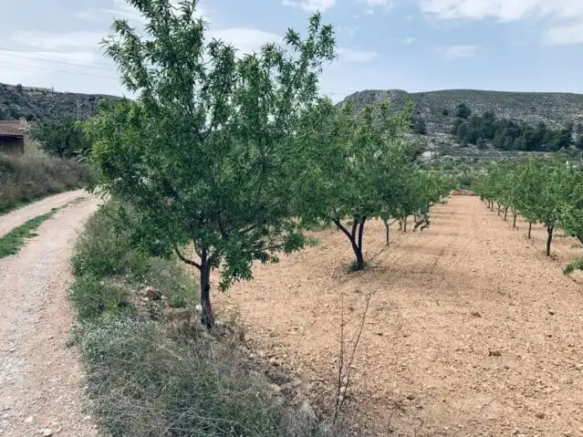 Terreny residencial en venda a La Romana, imagen 2