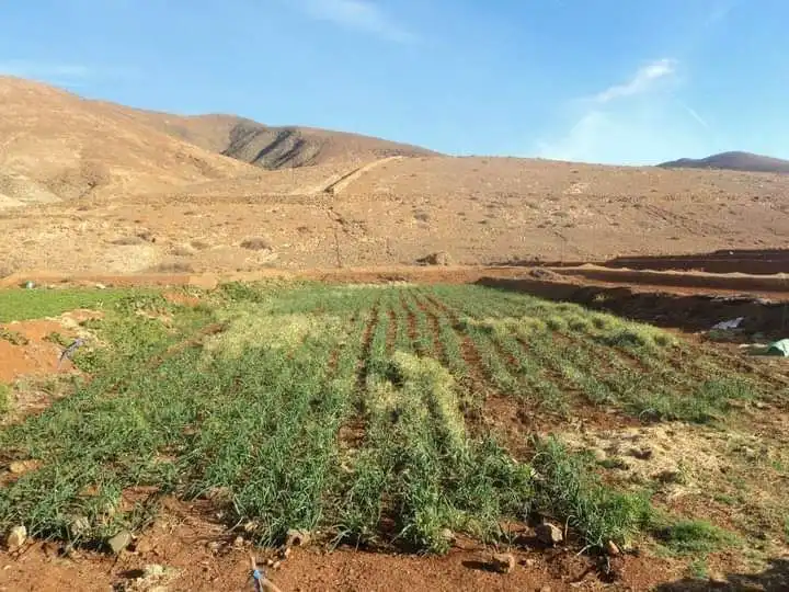 Finca rústica en venta en Pájara