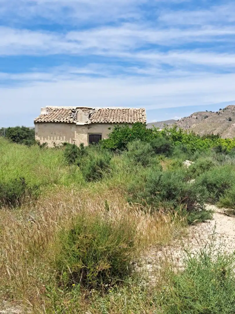 Residential land for sale in Abarán, imagen 17