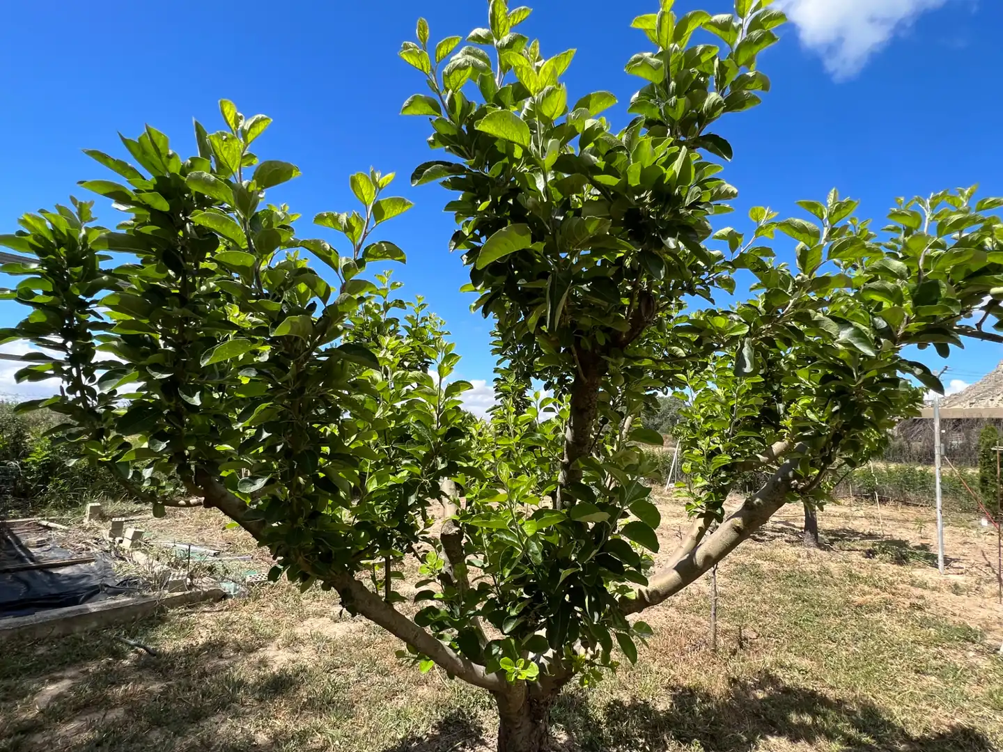 Terreni e lotti in vendita a Barrios rurales del oeste, imagen 8