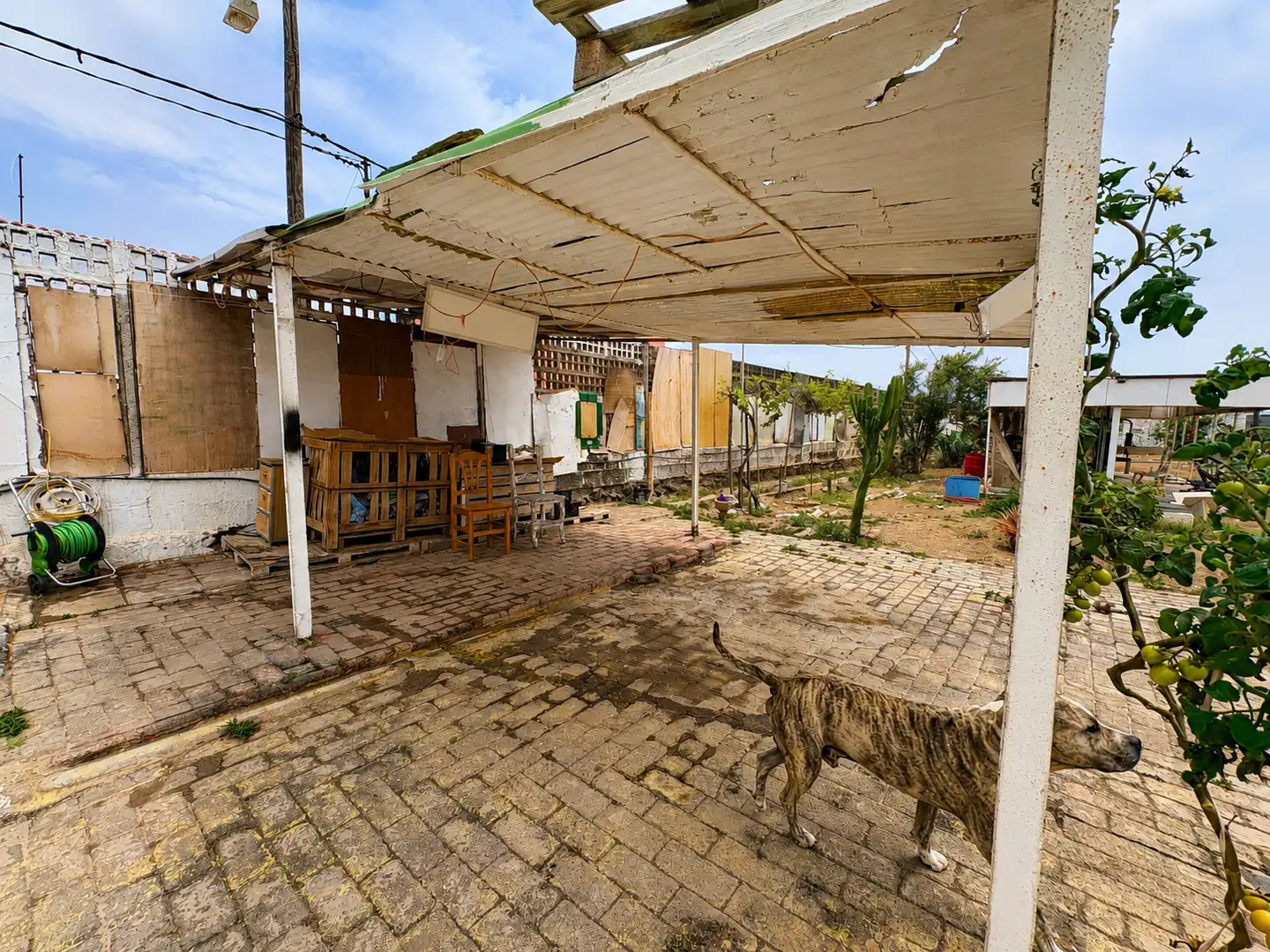 Exterior view of Land for sale in Telde