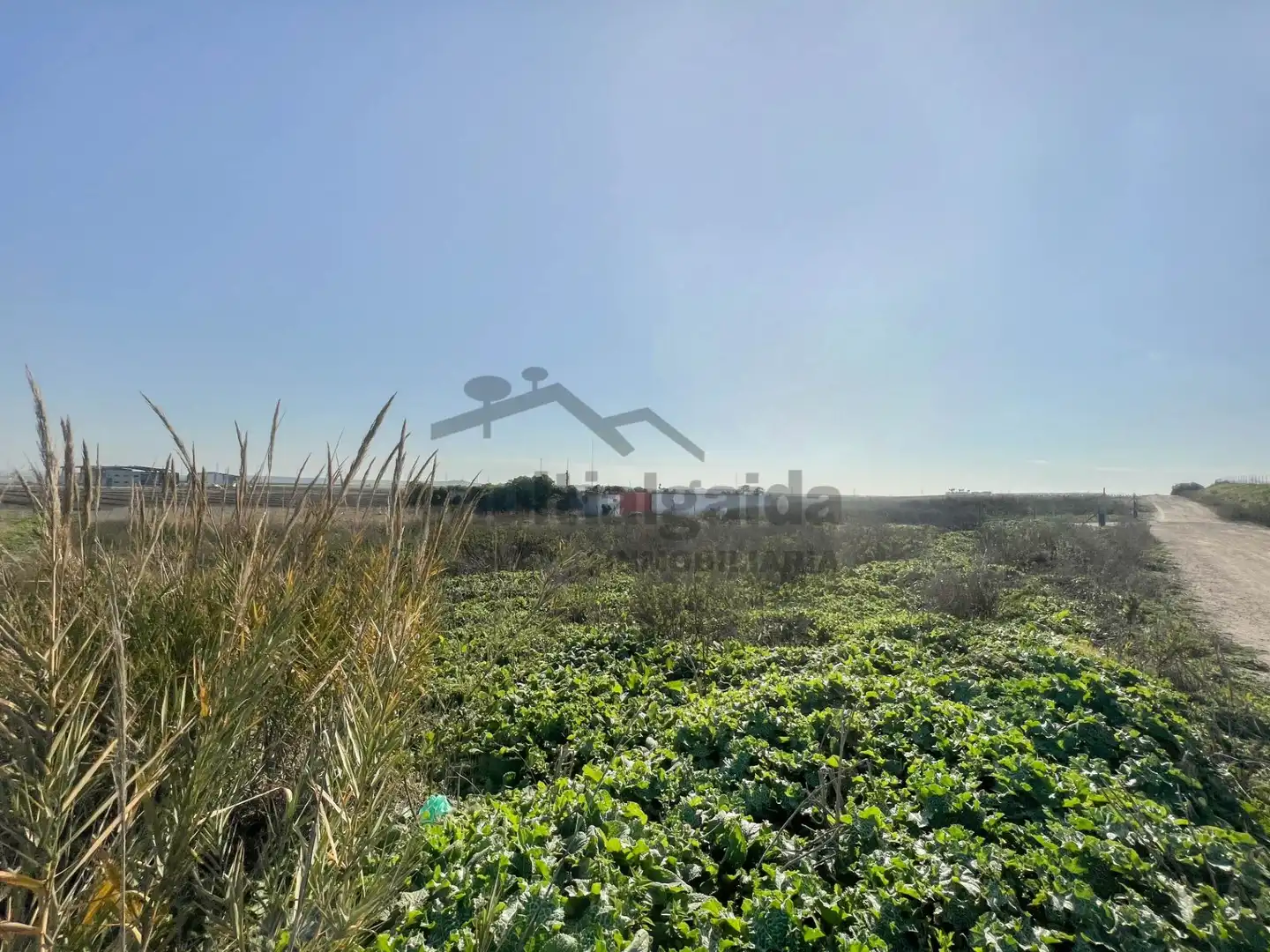 Rustikales Grundstück zum Verkauf in Ctra Jerez - Ctra del Puerto, imagen 8