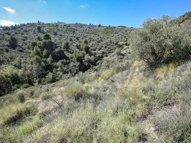Terreni e lotti in vendita a Torrox Pueblo, imagen 4