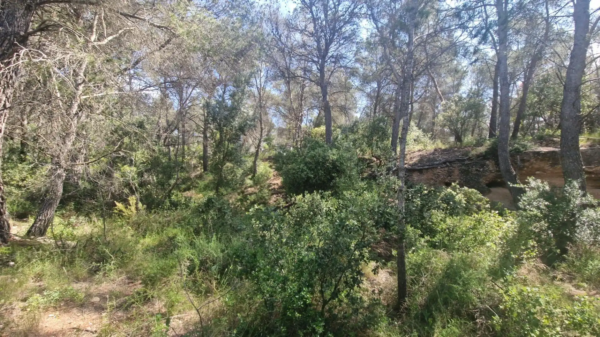 Terreno rustico in vendita a Valls, imagen 30