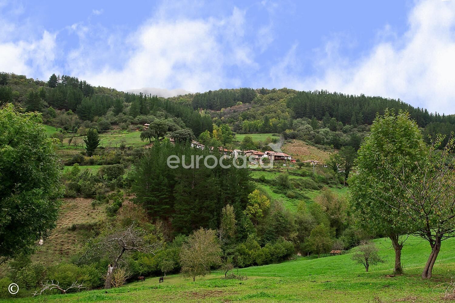 Pis en venda en Cillorigo de Liébana amb Jardí privat