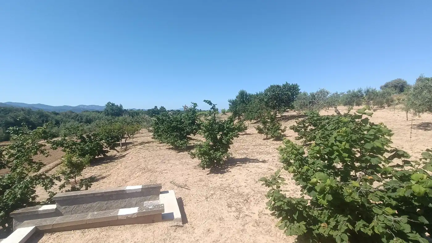 Nau industrial en venda en Marçà