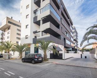 Flat to rent in Calle jose antonio cañete juarez, Nou Altabix