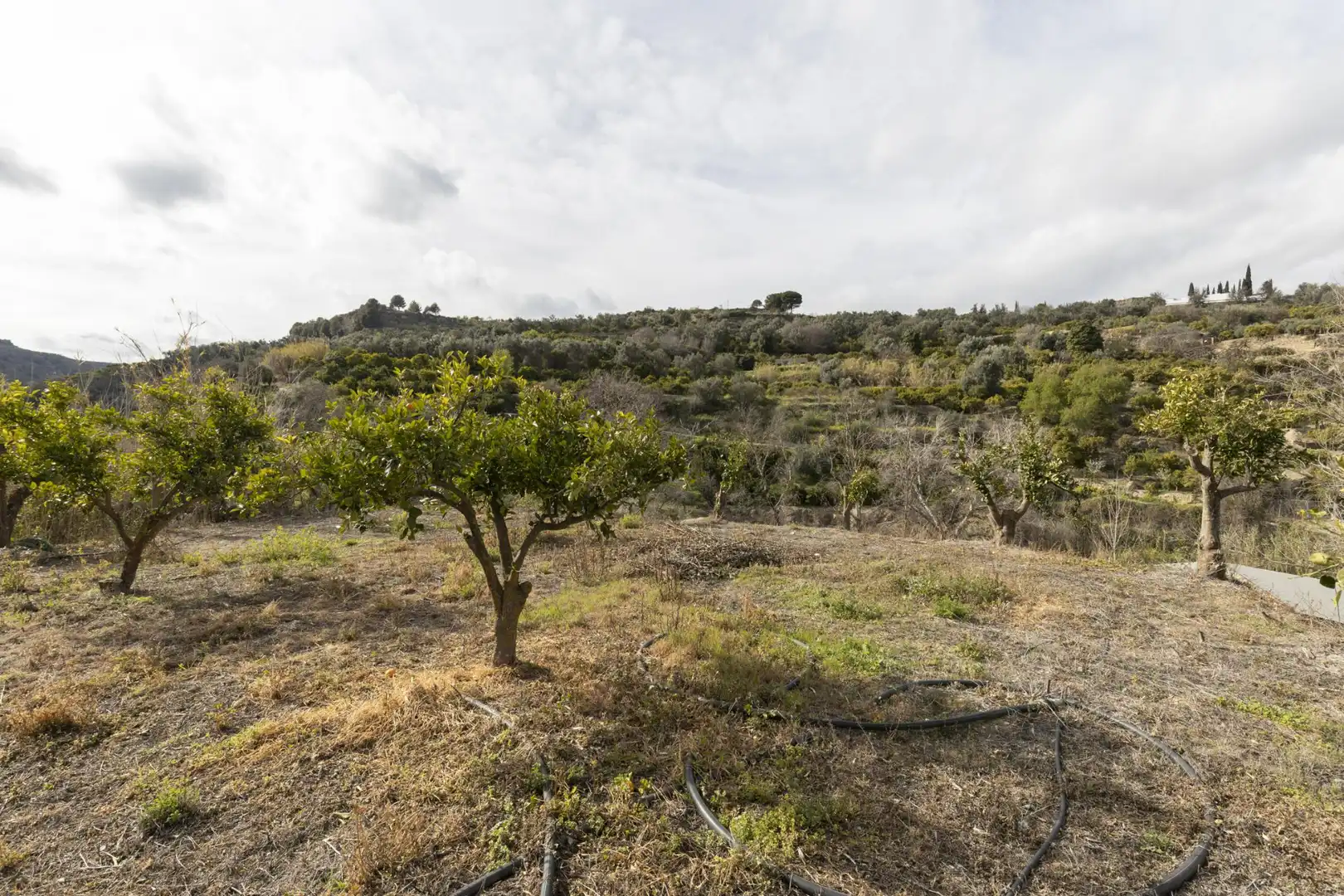 Terreno en venta en El Valle