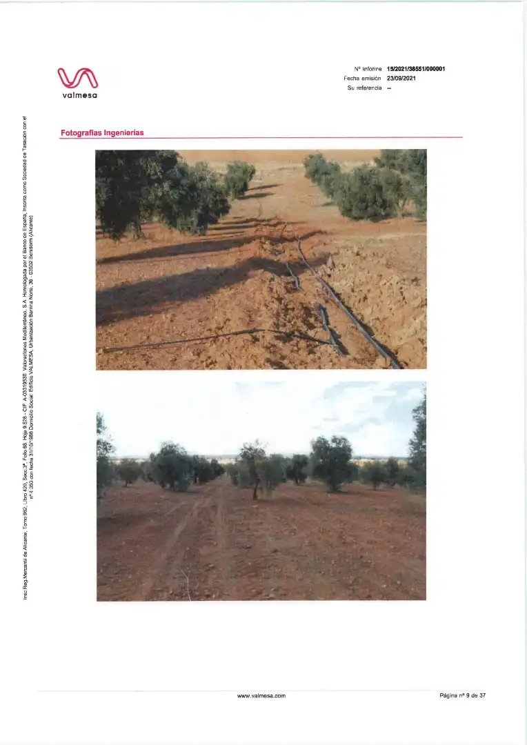 Terreni e lotti in vendita a Pedanías de Badajoz, imagen 11