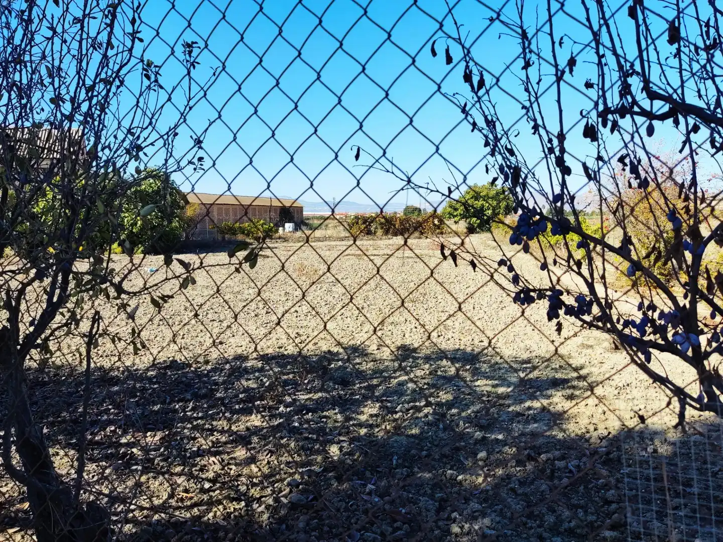 Terreno rústico en venta en MOLINILLO, imagen 16