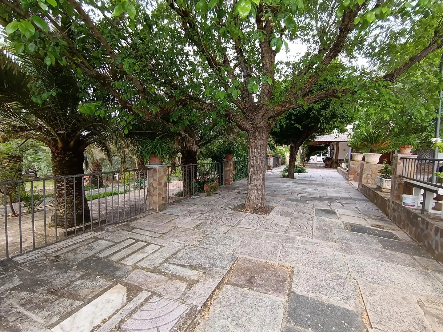 Vista exterior de Casa o chalet en venta en Brazatortas con Aire acondicionado, Calefacción y Jardín privado