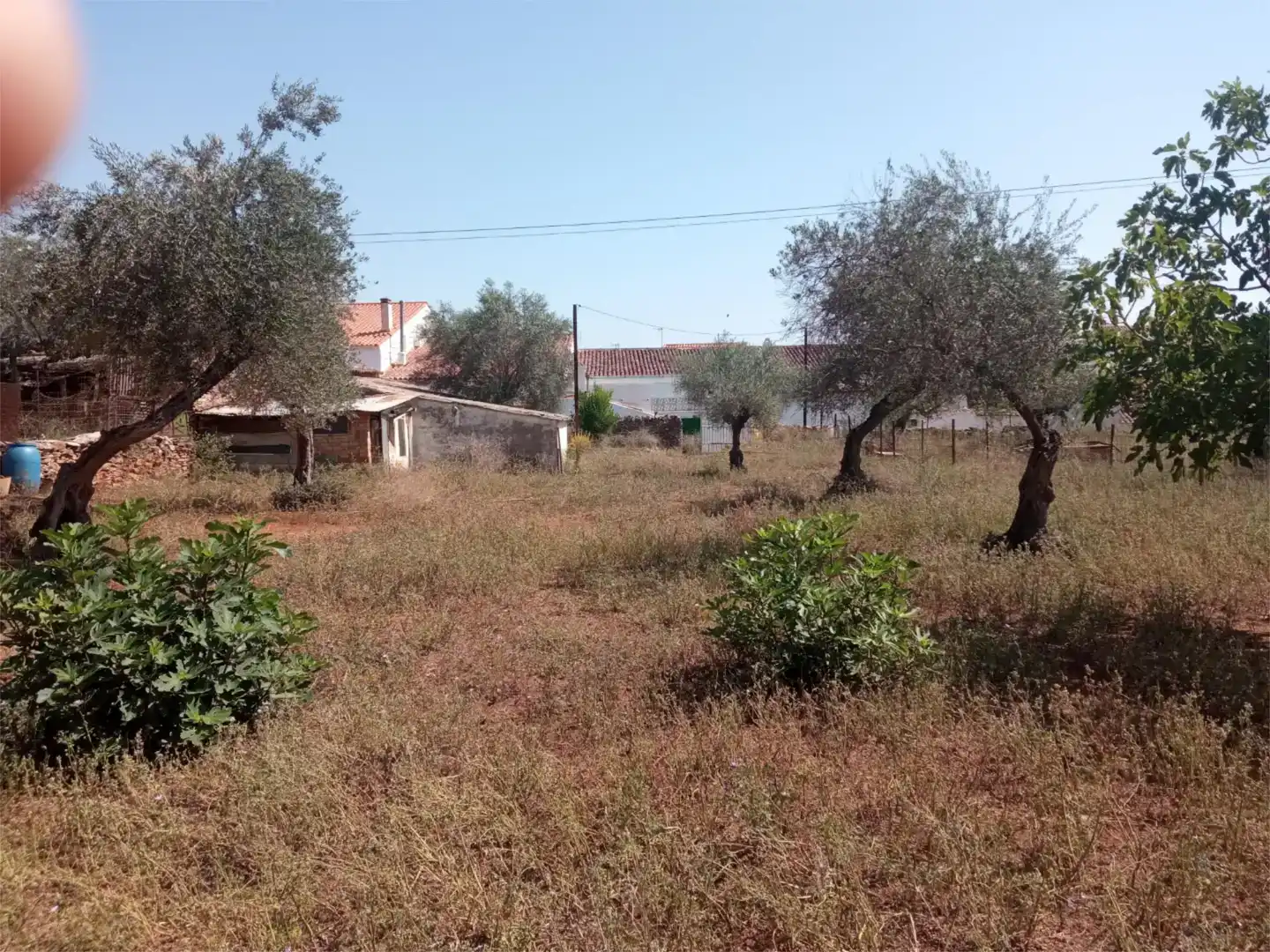 Finca rústica en venda en Corteconcepción amb Jardí privat