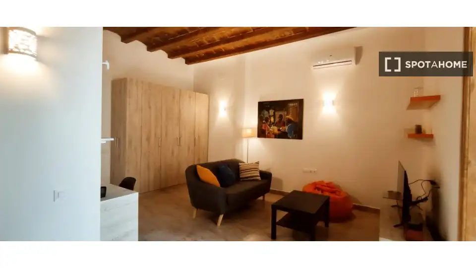 Sala d'estar de Estudi per a compartir en Sants - Montjuïc