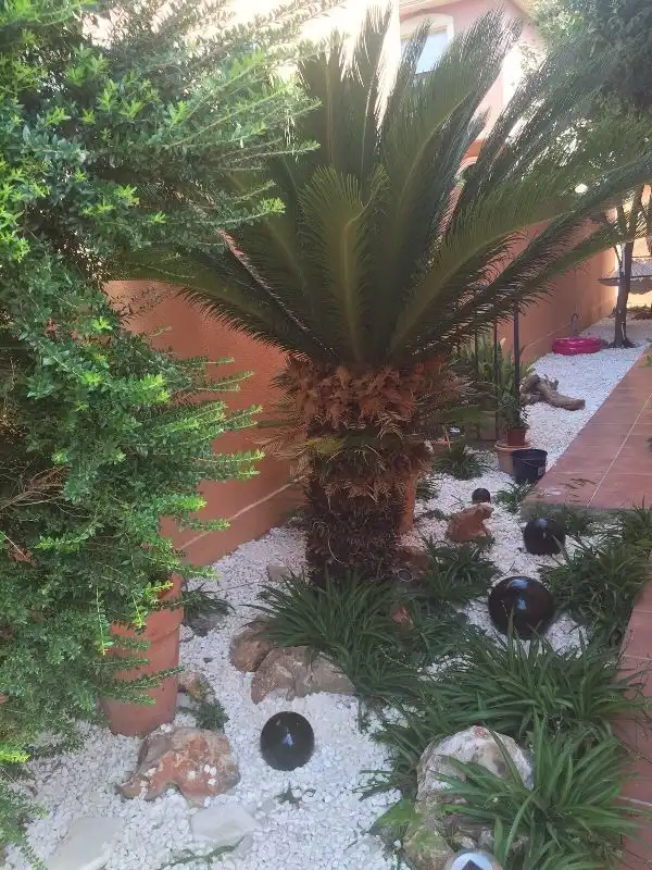 Detached homes for rent in Capellanía - Retamar