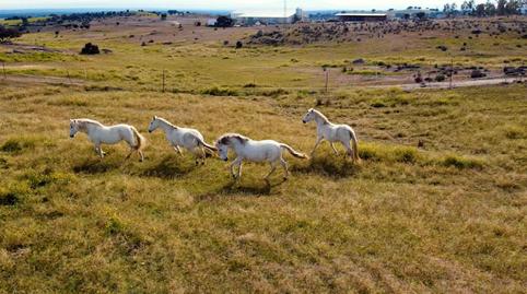 Photo 2 of Country house for sale in Ferrocarril Legua, Buenavista - Valparaíso - La Legua, Toledo