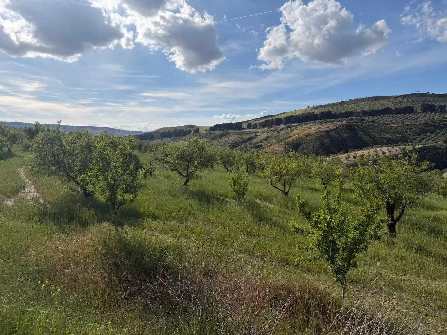 Rural land for sale in Lugar Poligono 7 Parcela 55, imagen 4