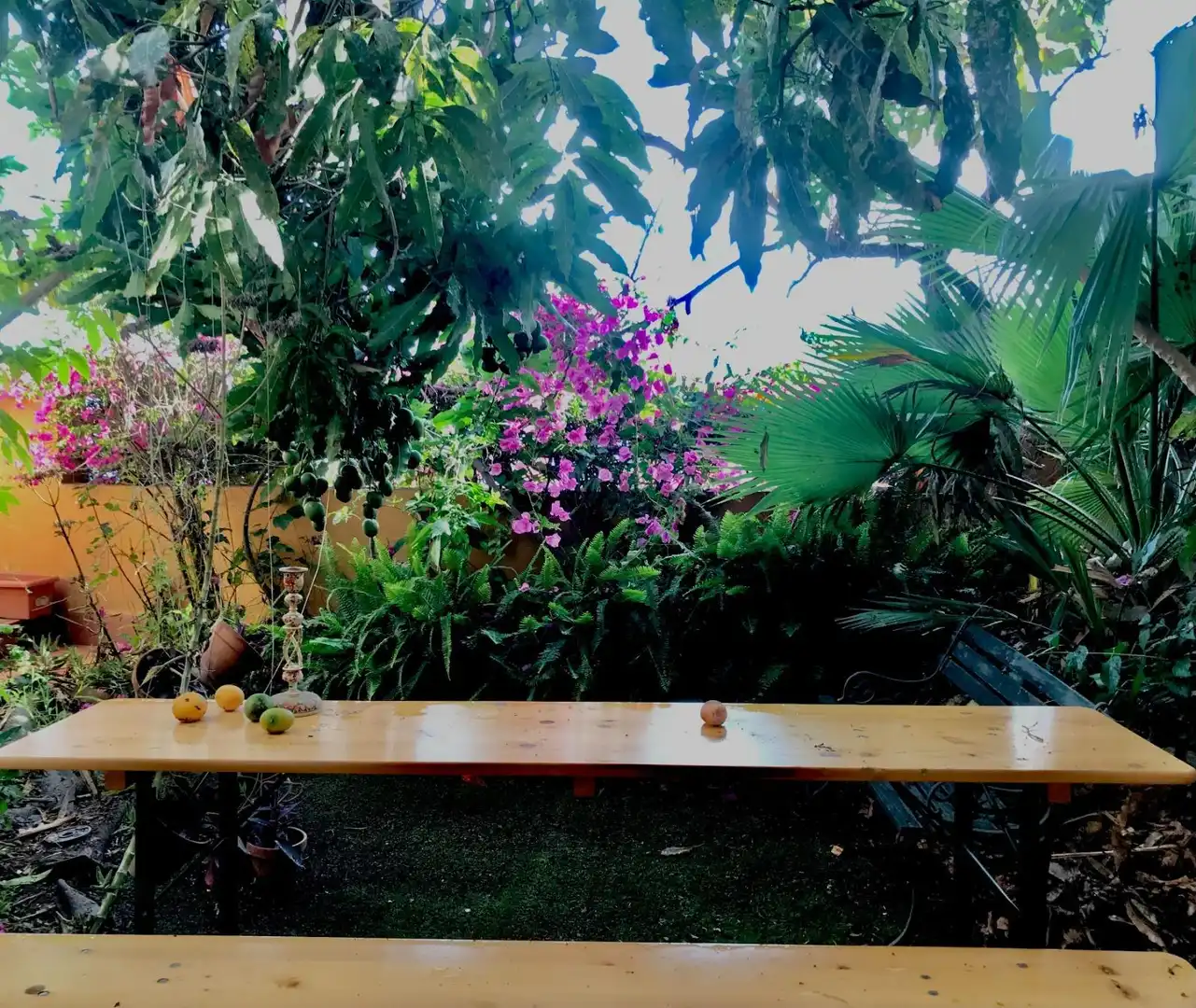 Garten von Einfamilien-Reihenhaus zur Miete in El Rosario mit Privatgarten, Terrasse und Möbliert