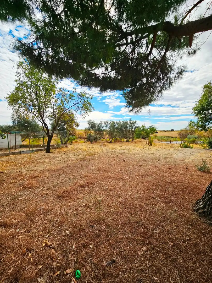 Detached house with terrace for sale in Las Ventas de Retamosa, imagen 20