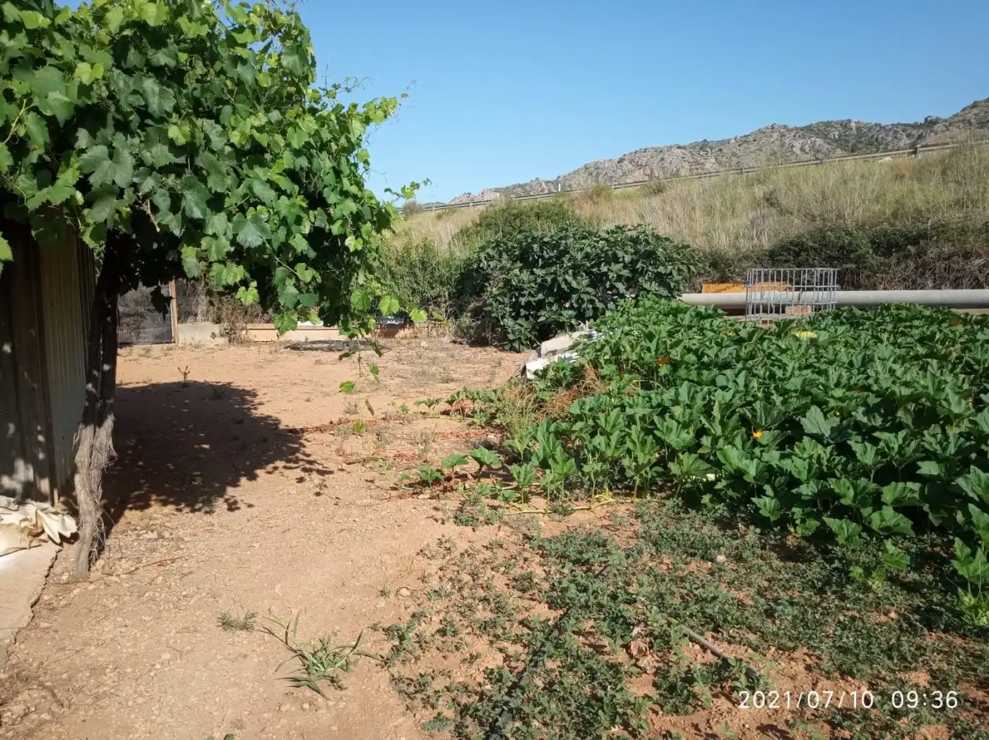 Terreny rústic en venda a Norte, imagen 19