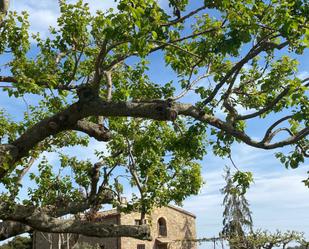 Jardí de Casa o xalet en venda en La Baronia de Rialb