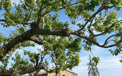 Jardí de Casa o xalet en venda en La Baronia de Rialb