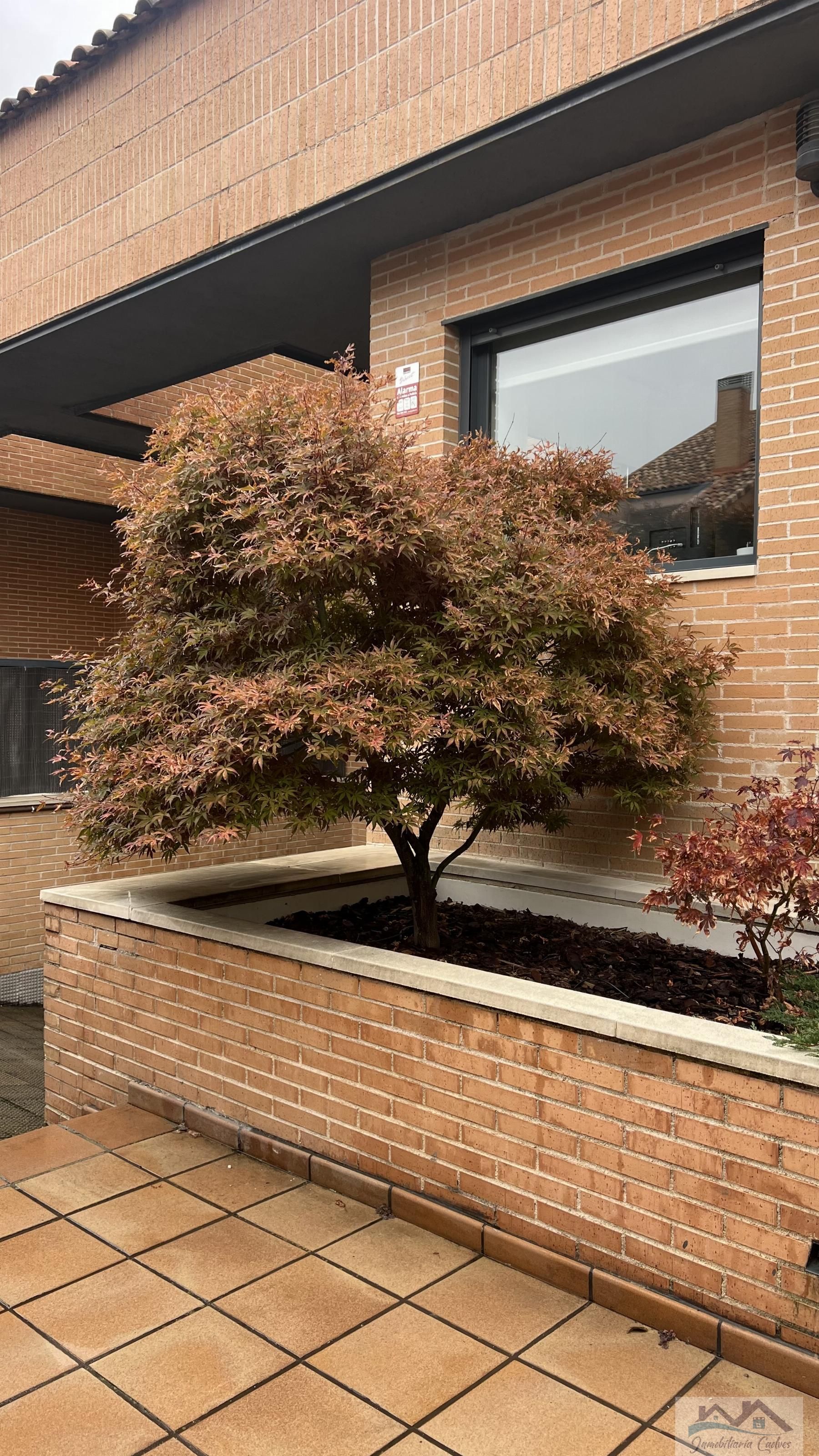 Jardí de Casa o xalet en venda en Villanueva de la Cañada amb Aire condicionat, Calefacció i Terrassa