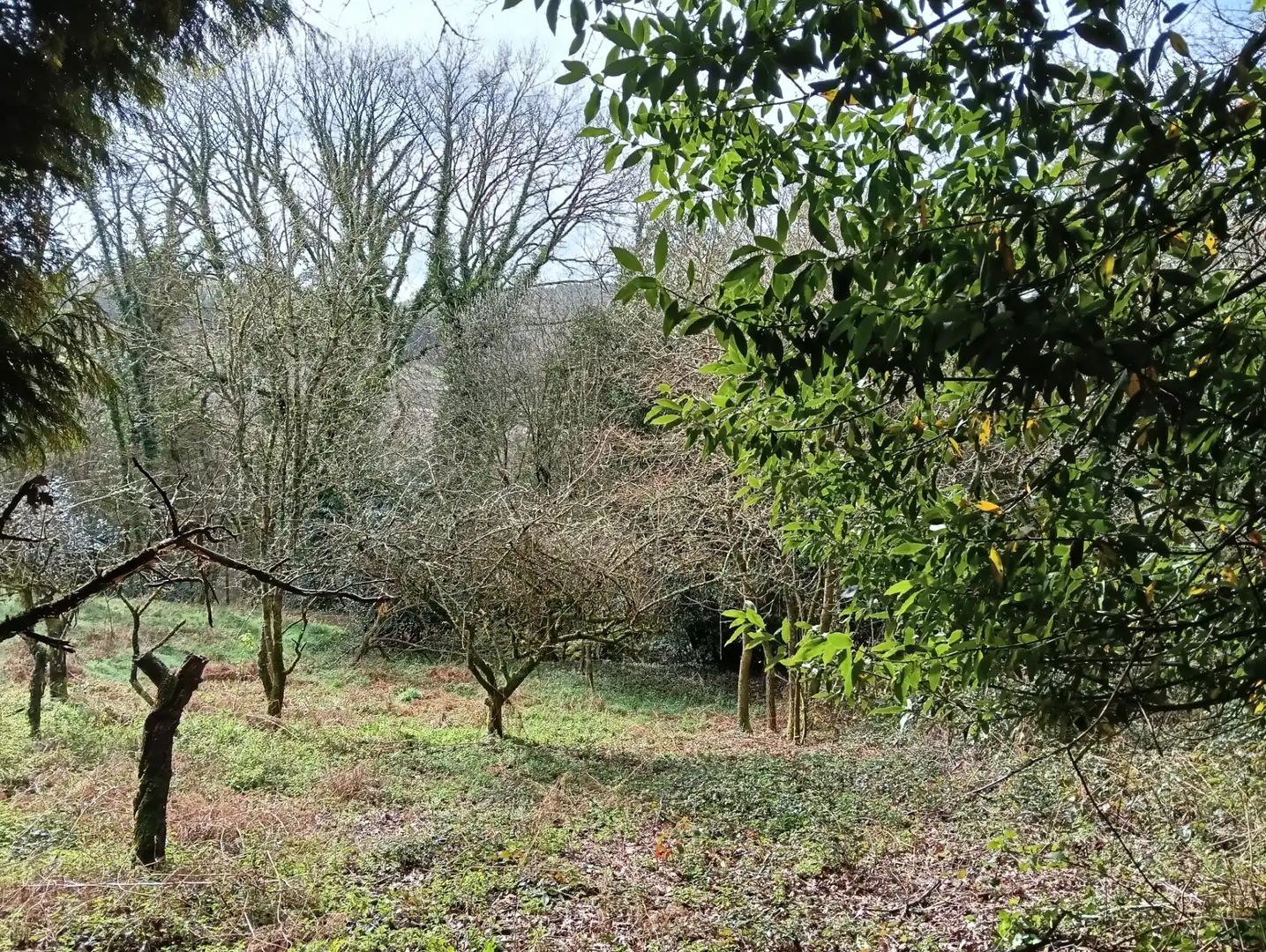 Adossat amb jardí en venda a Foro 55, imagen 52