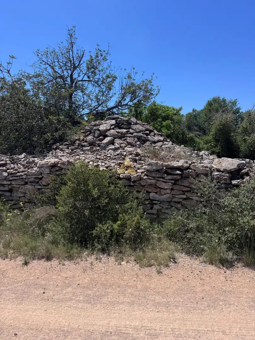 Country homes for sale in Partidas de interior - Zona Rústica