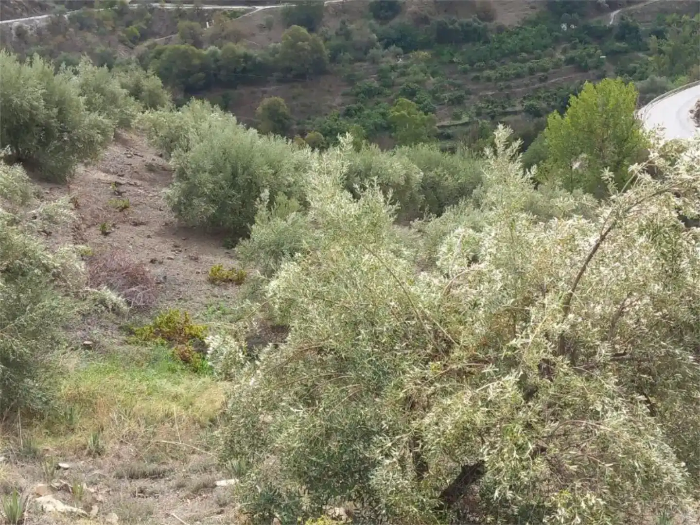 Terreno en venta en Árchez