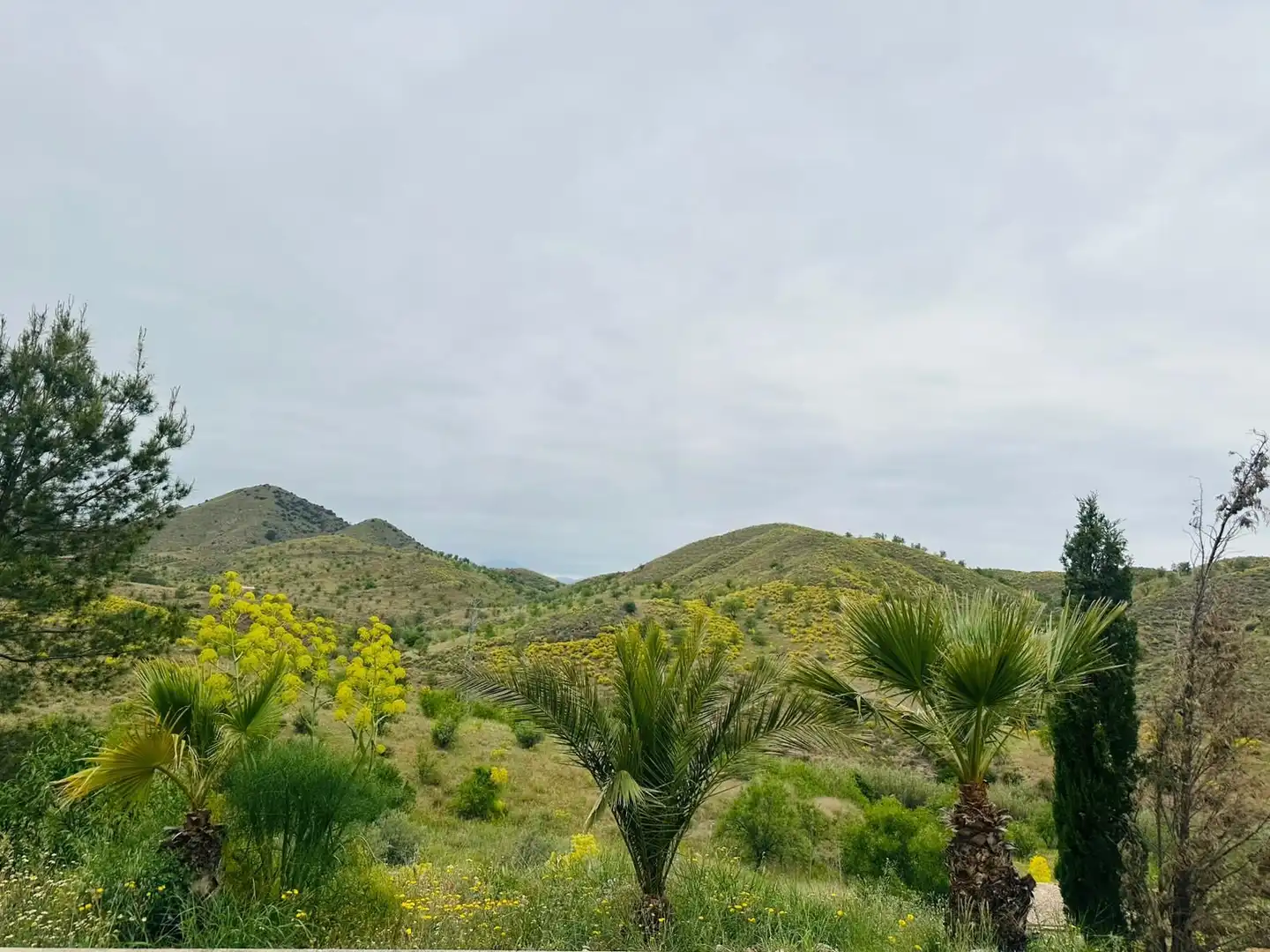 Country homes for sale in Lorca  with Heating, Terrace and Swimming Pool