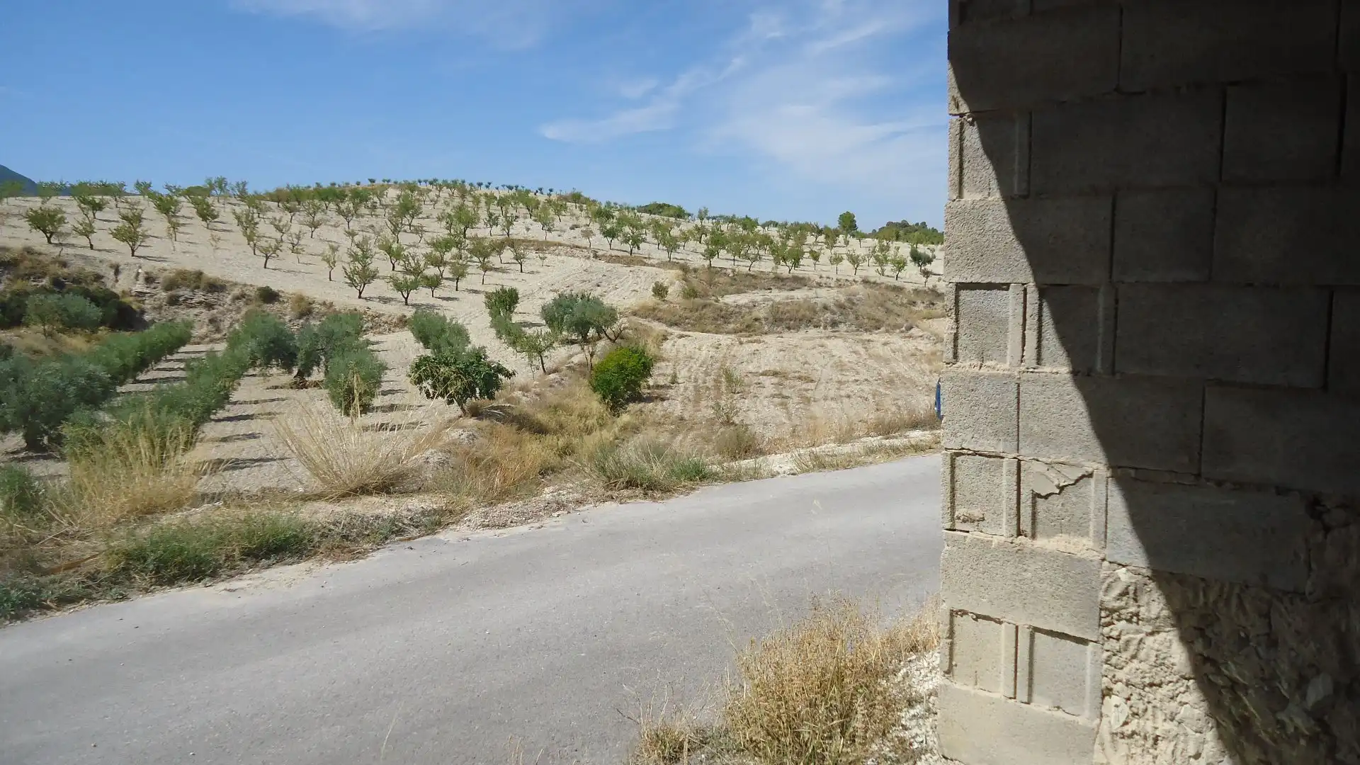 Terreno rustico in vendita a Jumilla, imagen 15