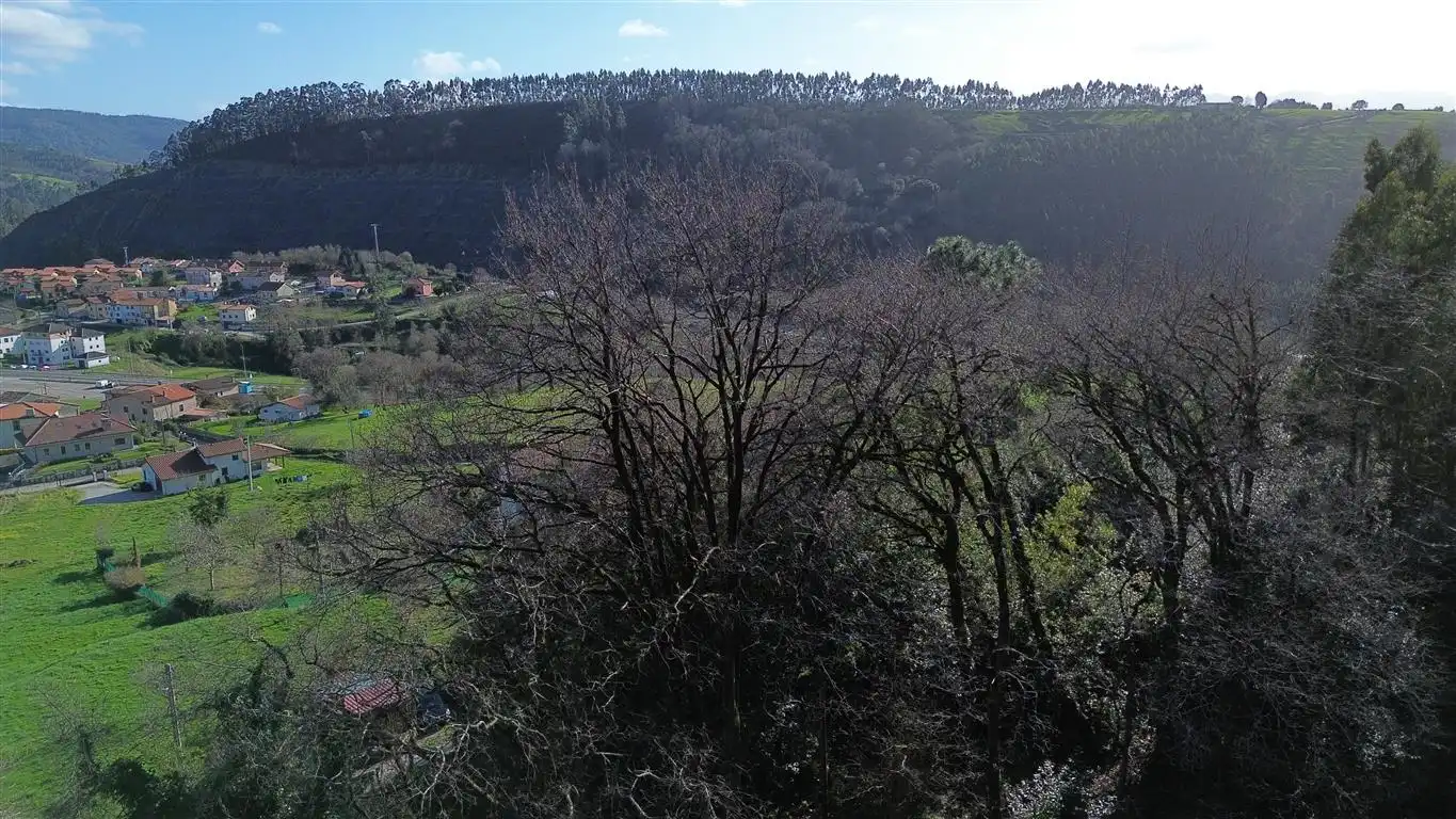 Casa o xalet en venda en Val de San Vicente  amb Jardí privat i Moblat