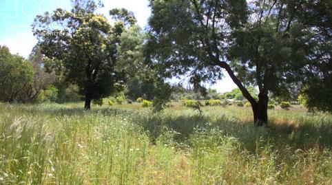 Foto 2 de Finca rústica en venda a Almonte ciudad, Huelva
