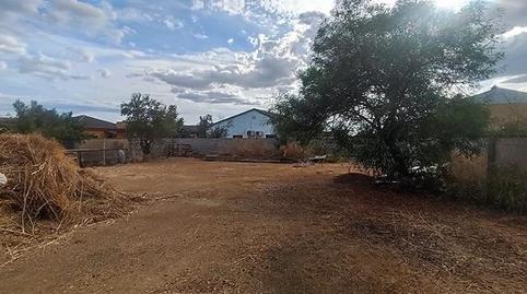 Foto 4 de Residencial en venta en Rinconada, La Rinconada