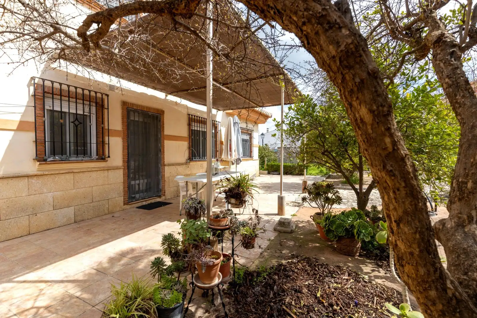 Jardín de Casa o chalet en venta en Escúzar con Terraza y Piscina