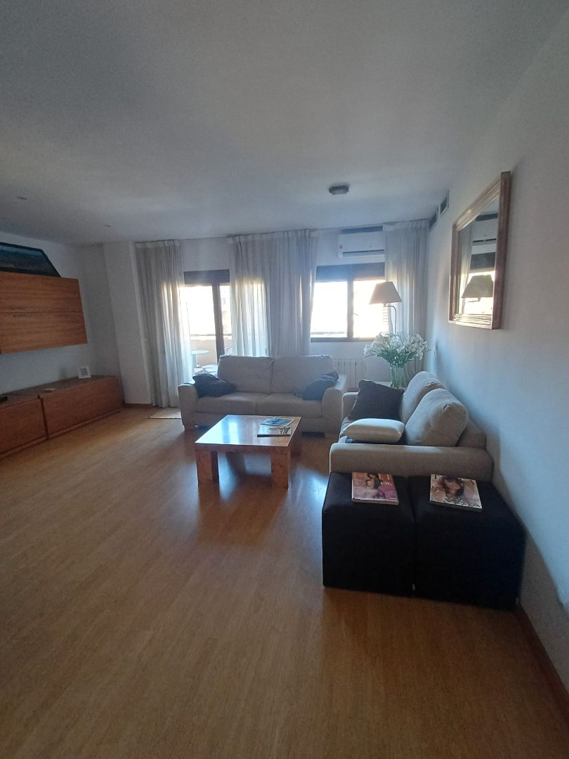 Living room of Flat to rent in  Valencia Capital  with Air Conditioner, Parquet flooring and Furnished