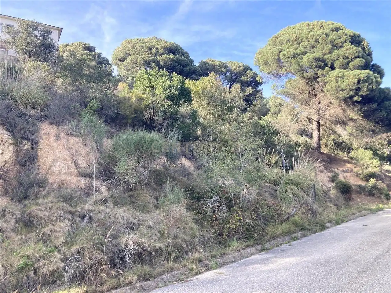 Terreny residencial en venda a Lloret Residencial - Montlloret, imagen 4