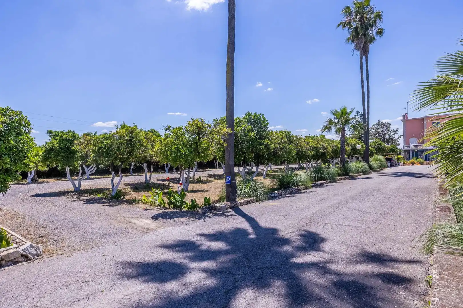 Vista exterior de Finca rústica en venta en Sanlúcar la Mayor con Calefacción, Jardín privado y Terraza
