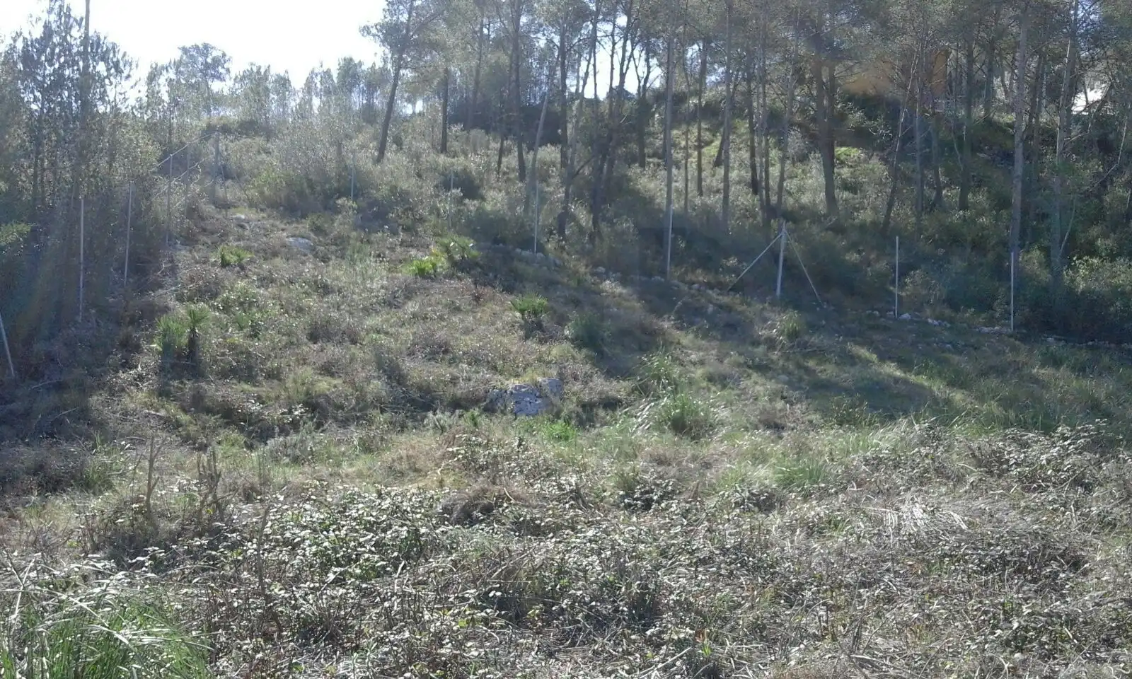 Terreny residencial en venda a Carrer del Senglar, imagen 13